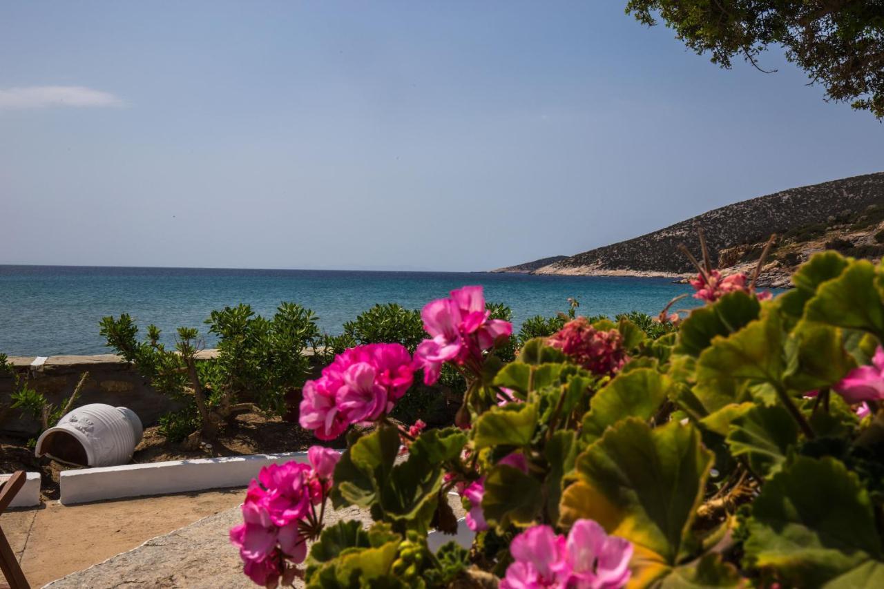Pension Ageliki Sifnos Platis Gialos  Esterno foto